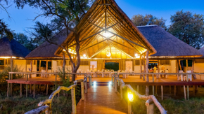 Chamäleon Unterkunft Botswana Gomoti River Lodge